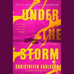 Under the Storm: A Novel Audiobook, by Christoffer Carlsson
