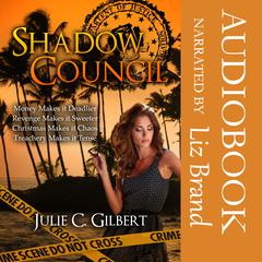 Shadow Council Books 1–4 Audiobook, by Julie C. Gilbert