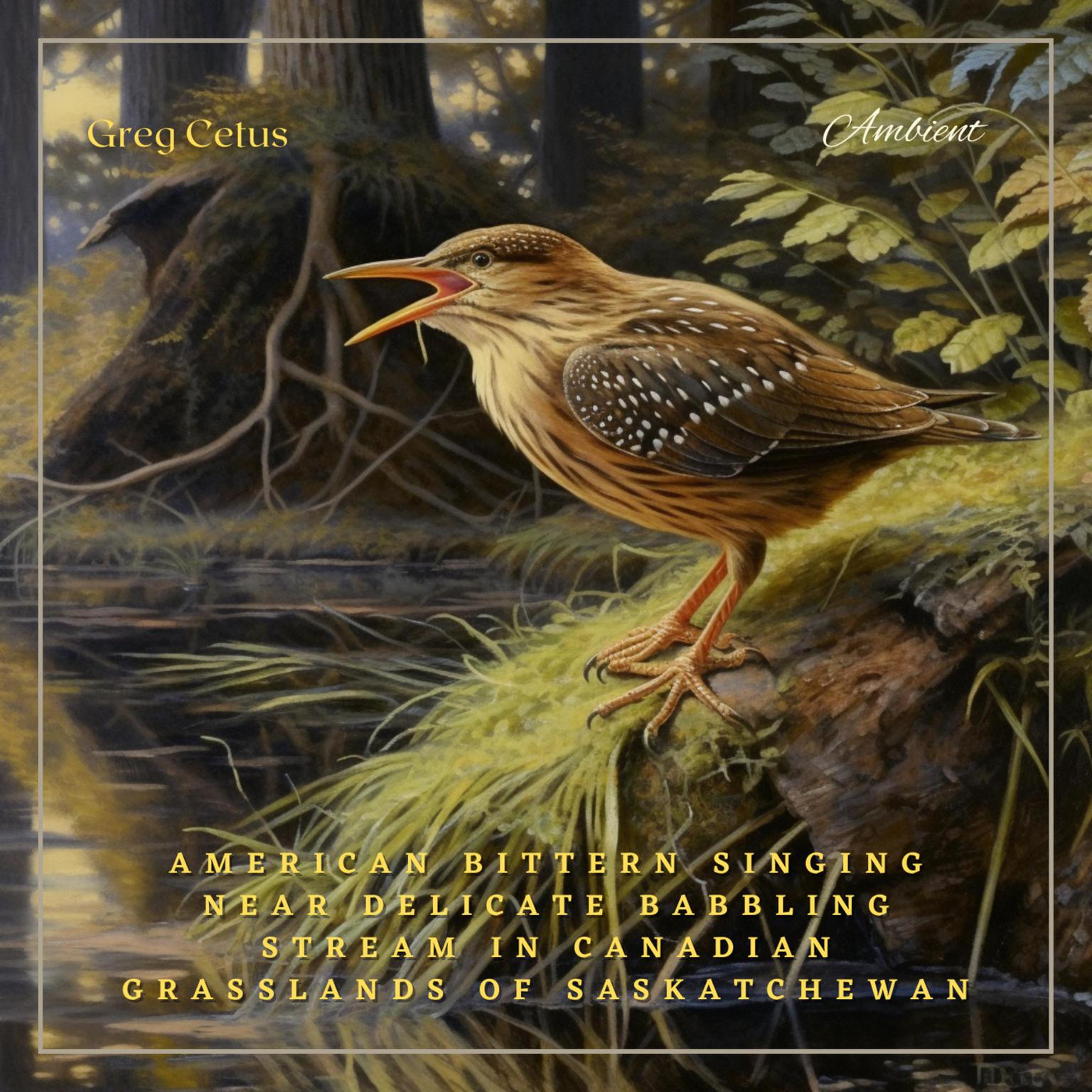 American Bittern Singing Near Delicate Babbling Stream in Canadian Grasslands of Saskatchewan: Ambient Audio for Deep Sleep and Relaxation Audiobook, by Greg Cetus