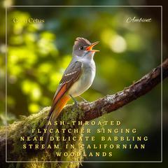 Ash-throated Flycatcher Singing Near Delicate Babbling Stream in Californian Woodlands: Nature Sounds for Yoga and Relaxation Audiobook, by Greg Cetus