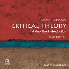 Critical Theory: A Very Short Introduction Audiobook, by 