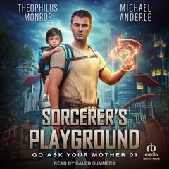 Sorcerer's Playground Audiobook, by Michael Anderle