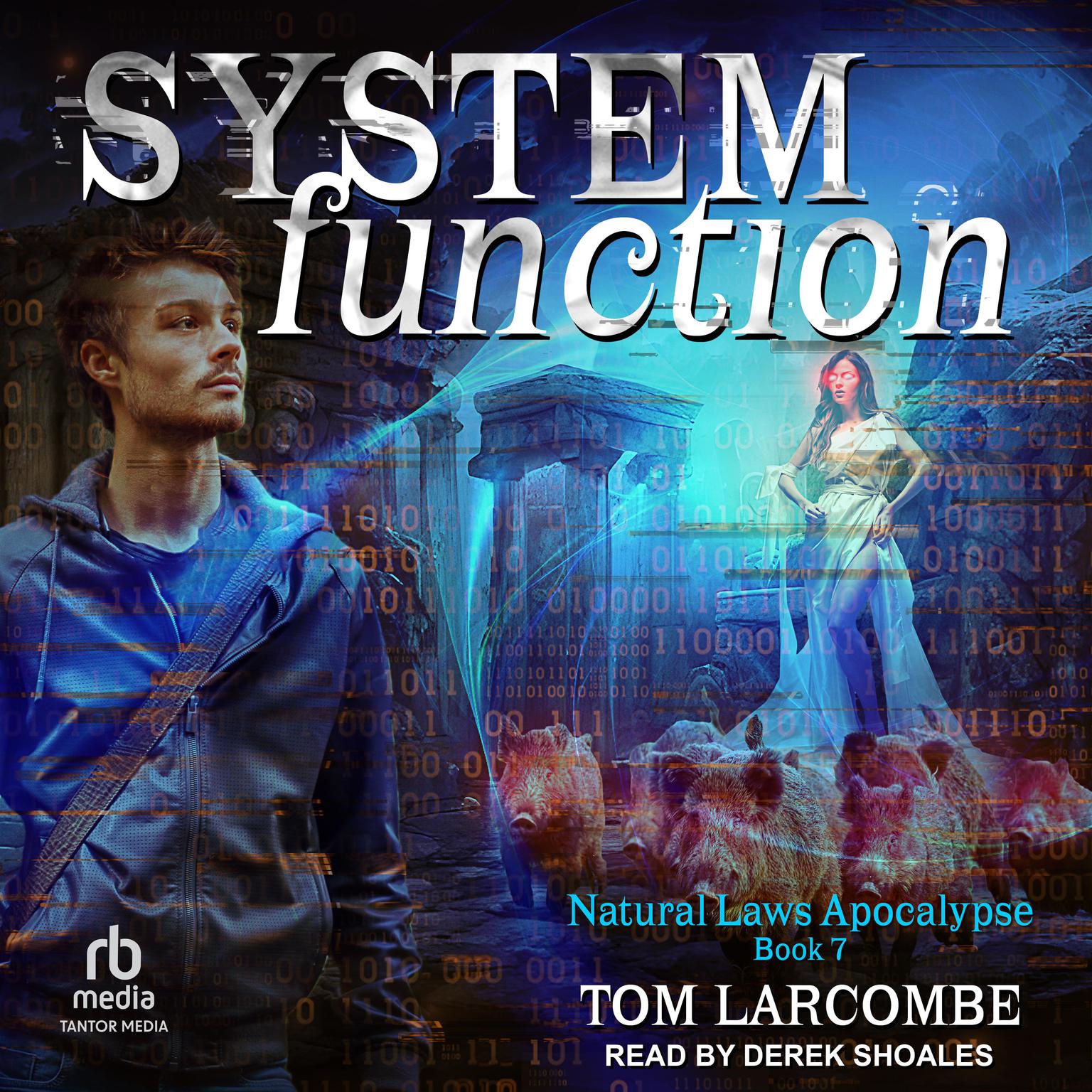 System Function Audiobook, by Tom Larcombe
