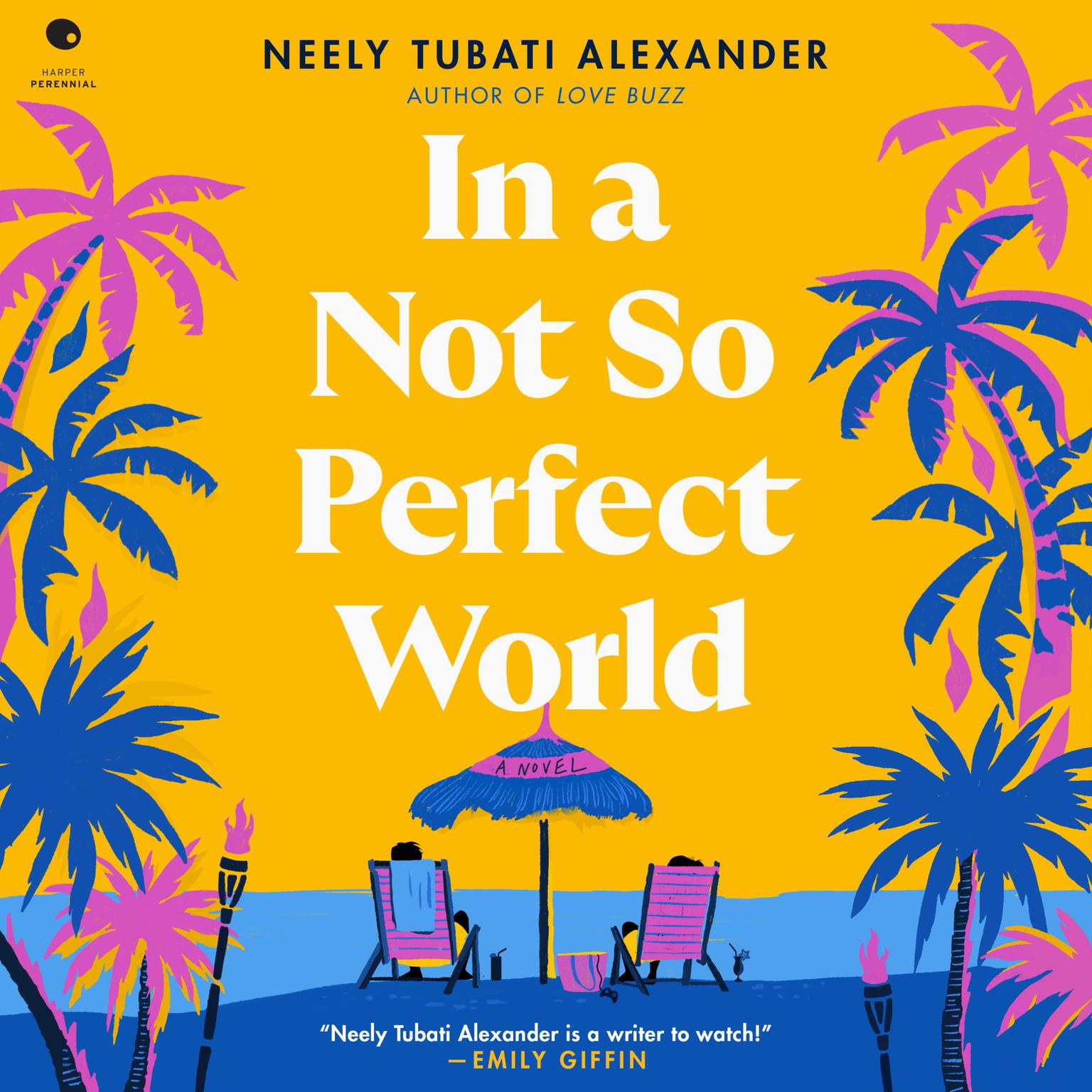 In a Not So Perfect World: A Novel Audiobook, by Neely Tubati Alexander