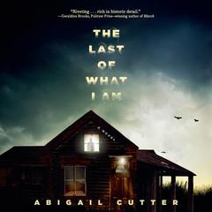 The Last of What I Am Audiobook, by Abigail Cutter