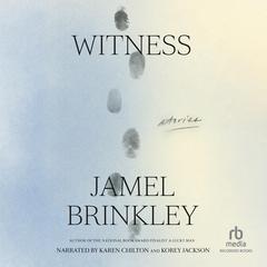 Witness: Stories Audiobook, by Jamel Brinkley