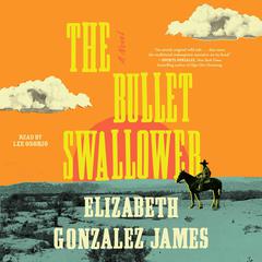 The Bullet Swallower: A Novel Audiobook, by Elizabeth Gonzalez James