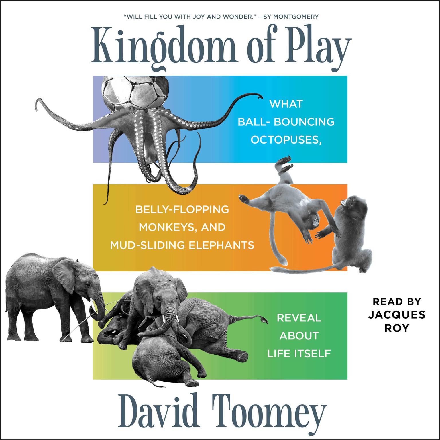 Kingdom of Play: What Ball-bouncing Octopuses, Belly-flopping Monkeys, and Mud-sliding Elephants Reveal about Life Itself Audiobook, by David Toomey