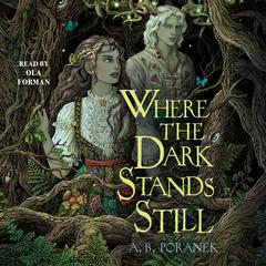 Where the Dark Stands Still Audiobook, by A. B. Poranek