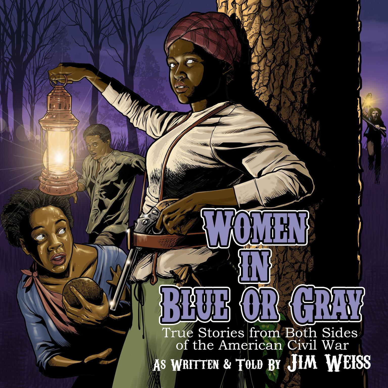 Women in Blue or Gray Audiobook, by Jim Weiss