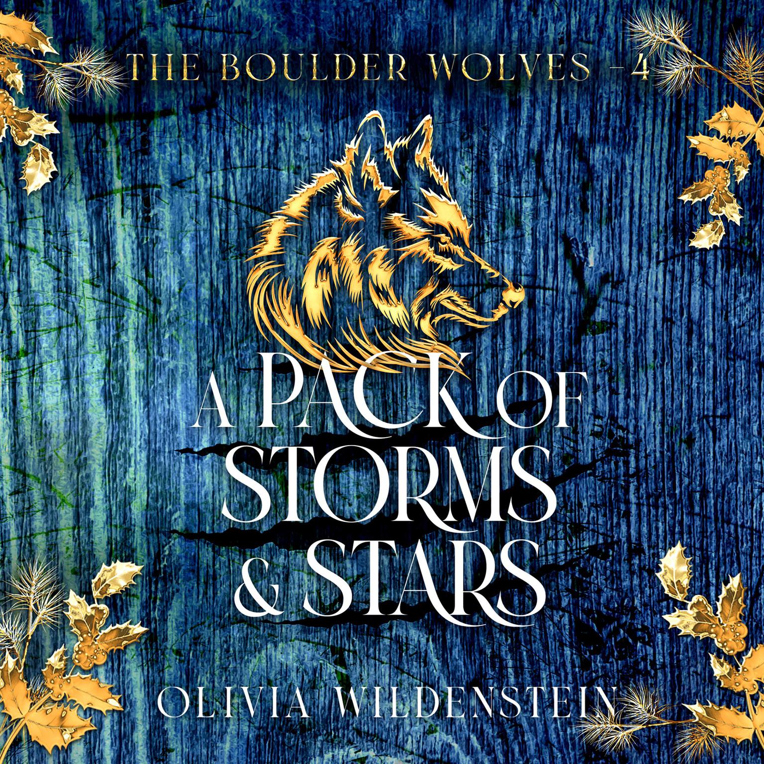 A Pack of Storms and Stars Audiobook, by Olivia Wildenstein