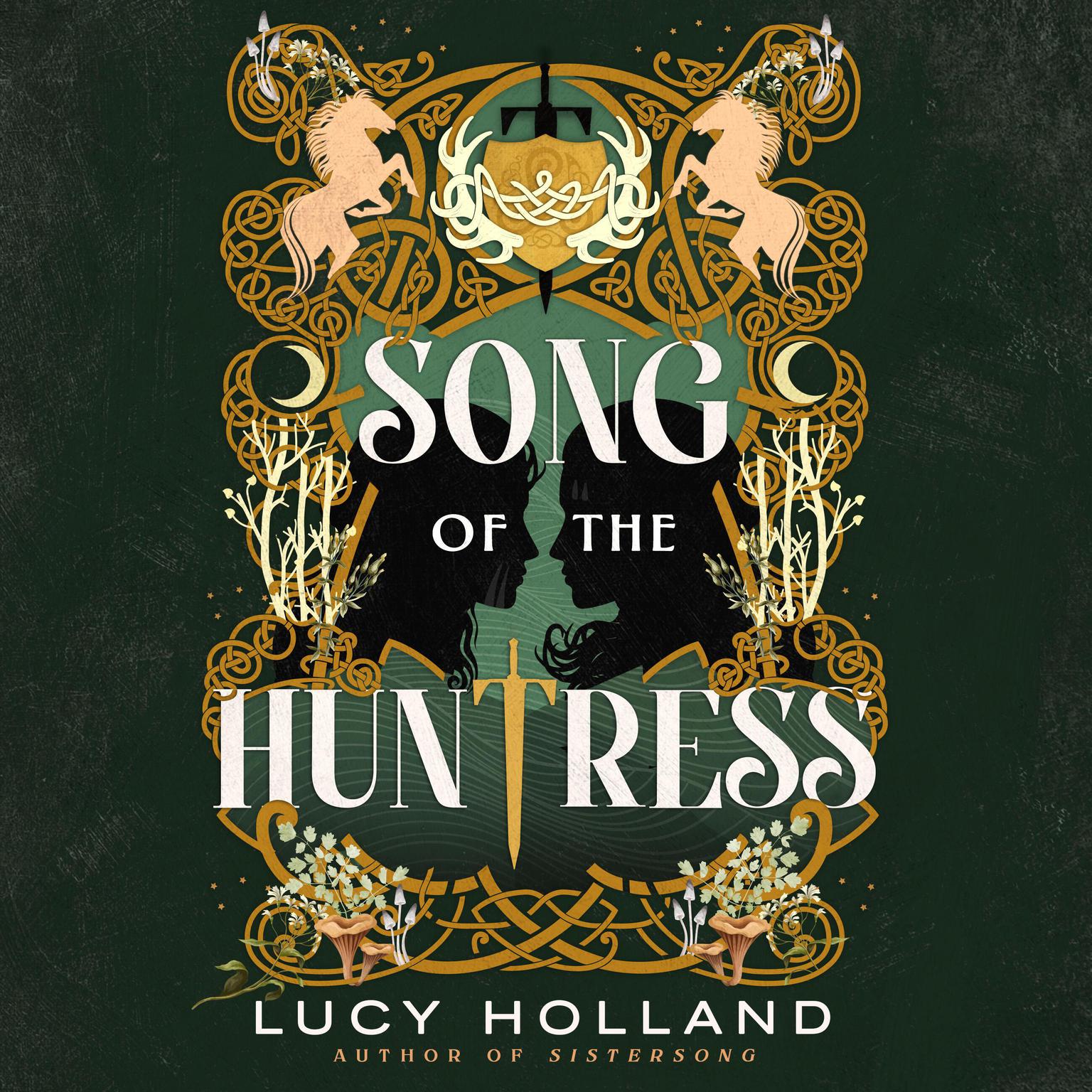 Song of the Huntress Audiobook, by Lucy Holland