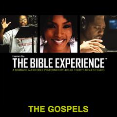Inspired By … The Bible Experience Audio Bible - Today's New International Version, TNIV: The Gospels Audibook, by Zondervan