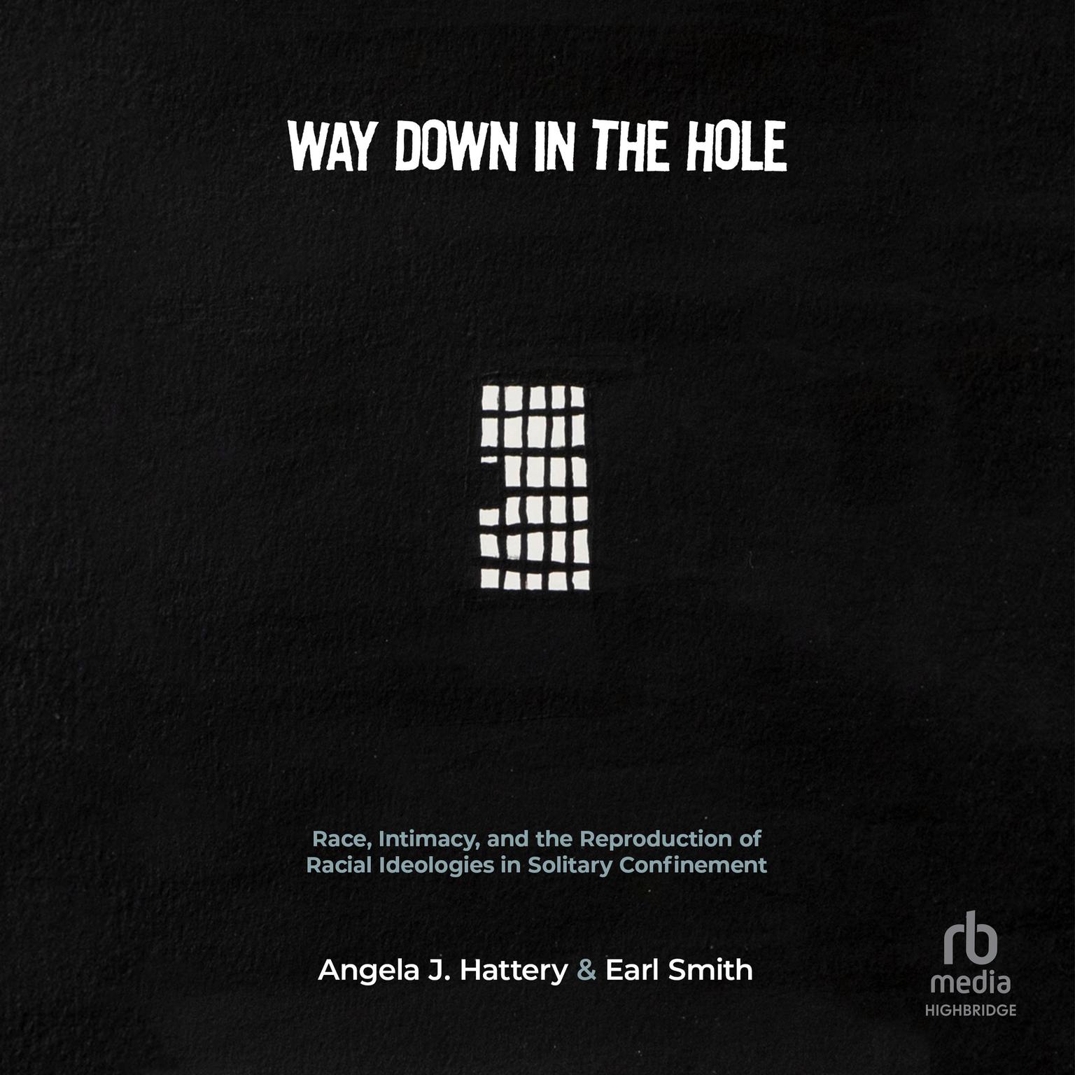 Way Down in the Hole: Race, Intimacy, and the Reproduction of Racial Ideologies in Solitary Confinement (Critical Issues in Crime and Society Audiobook, by Angela J. Hattery