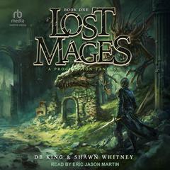 Lost Mages 1 Audiobook, by DB King