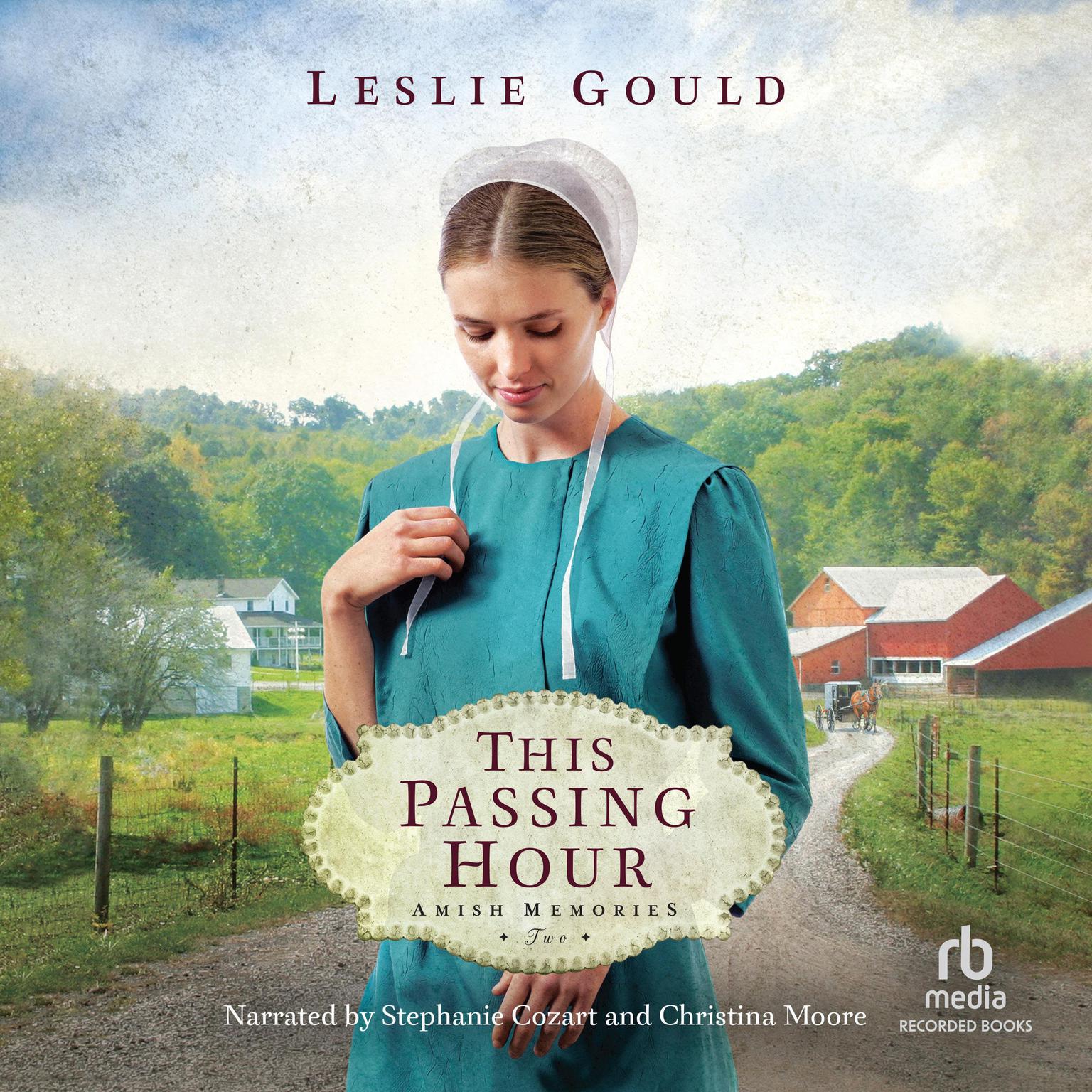 This Passing Hour Audiobook, by Leslie Gould