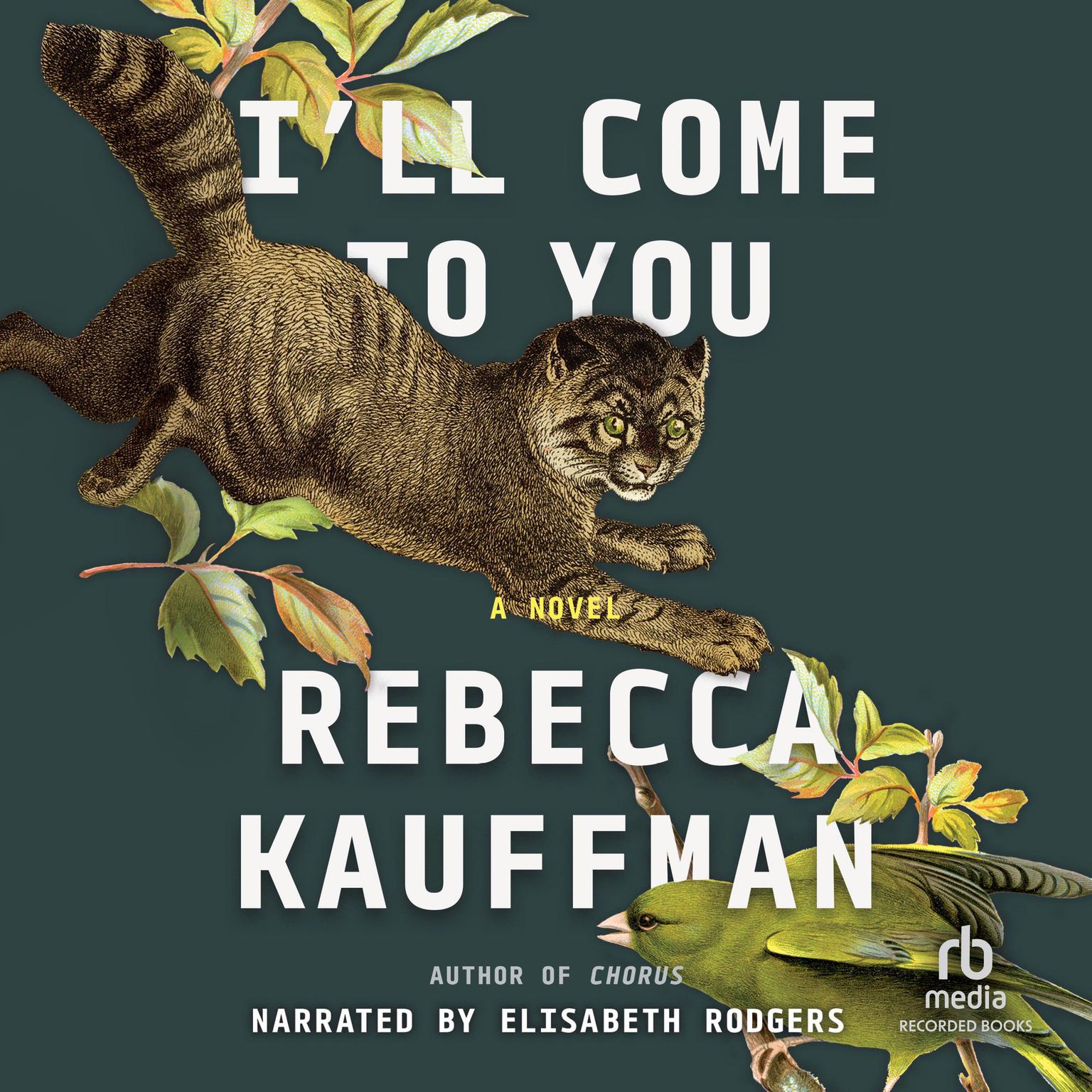 I’ll Come to You Audiobook, by Rebecca Kauffman