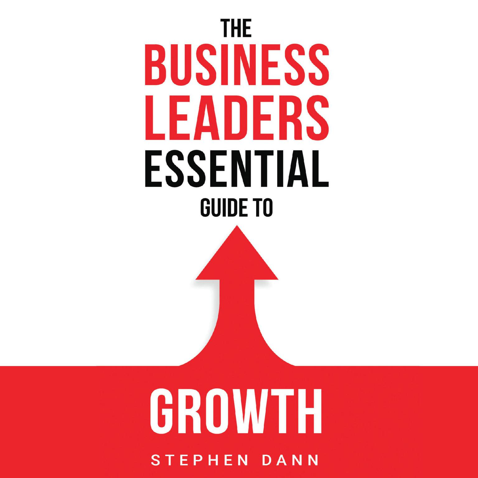 The Business Leaders Essential Guide to Growth Audiobook, by Stephen Dann