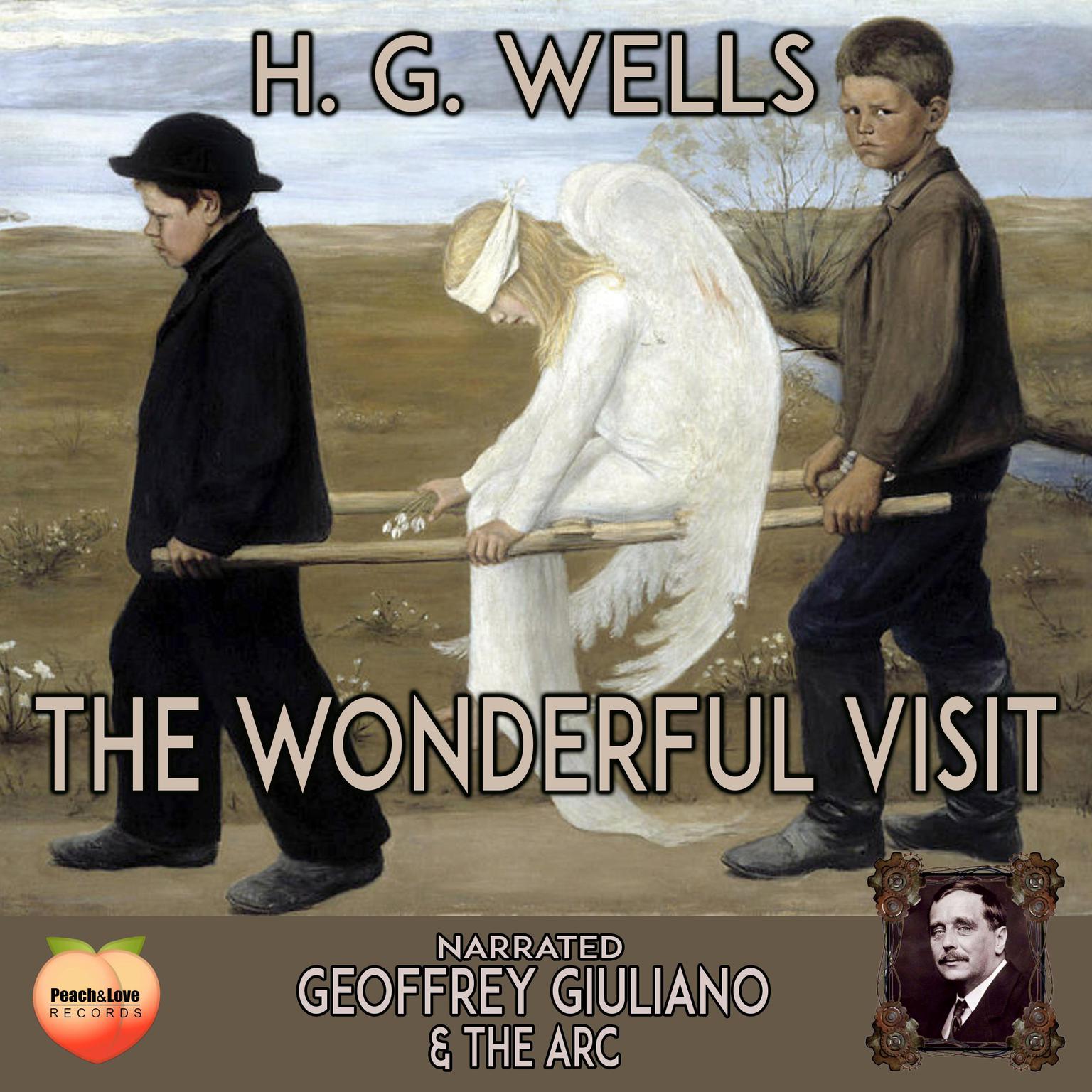 The Wonderful Visit Audiobook, by H. G. Wells