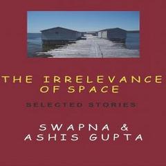 The Irrelevance of Space and Other Stories Audiobook, by Ashis Gupta