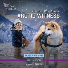 Arctic Witness Audiobook, by 
