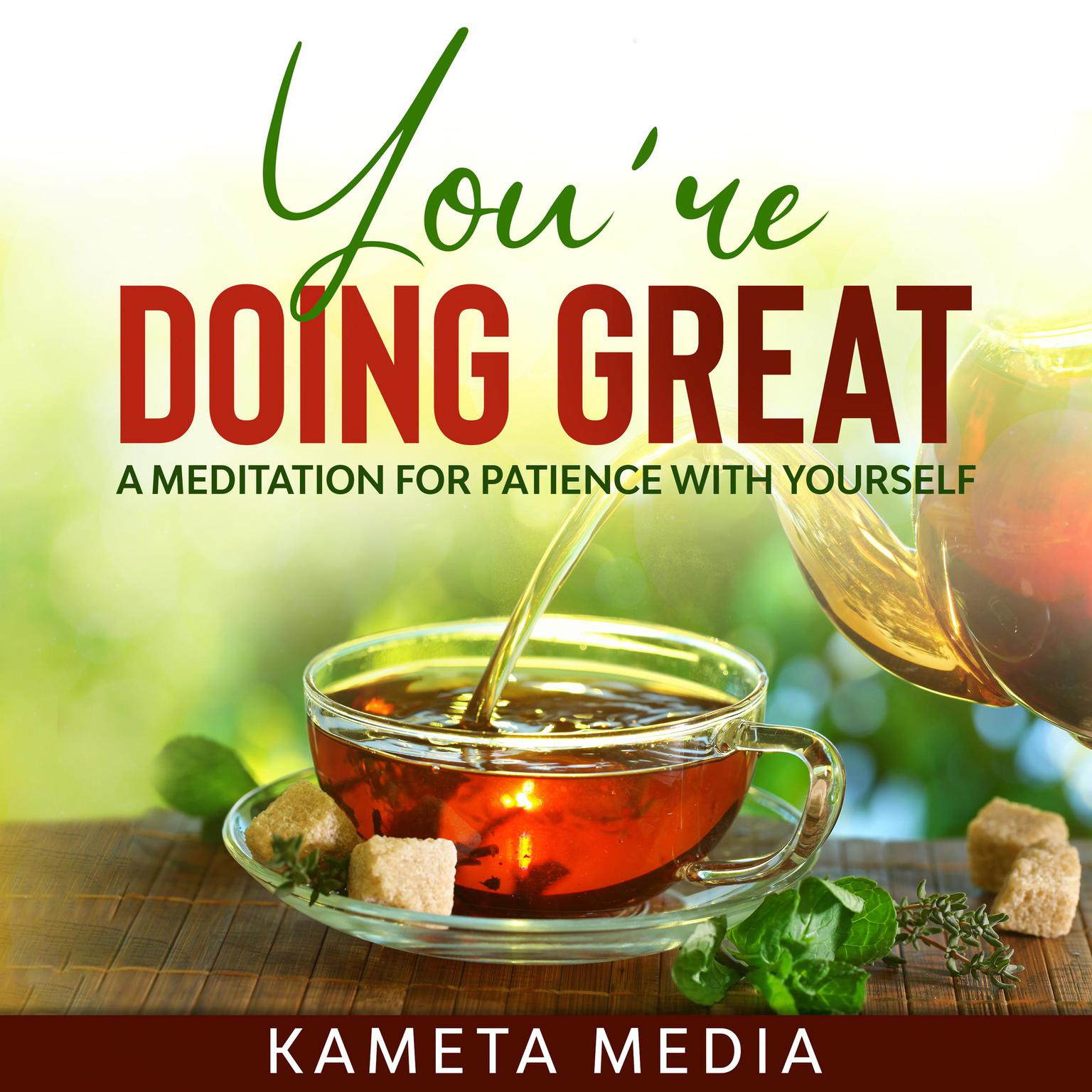 You’re Doing Great: A Meditation for Patience with Yourself Audiobook, by Kameta Media