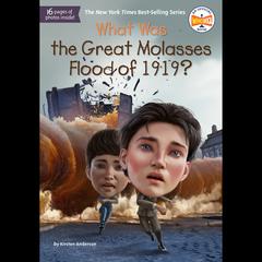 What Was the Great Molasses Flood of 1919? Audiobook, by Kirsten Anderson