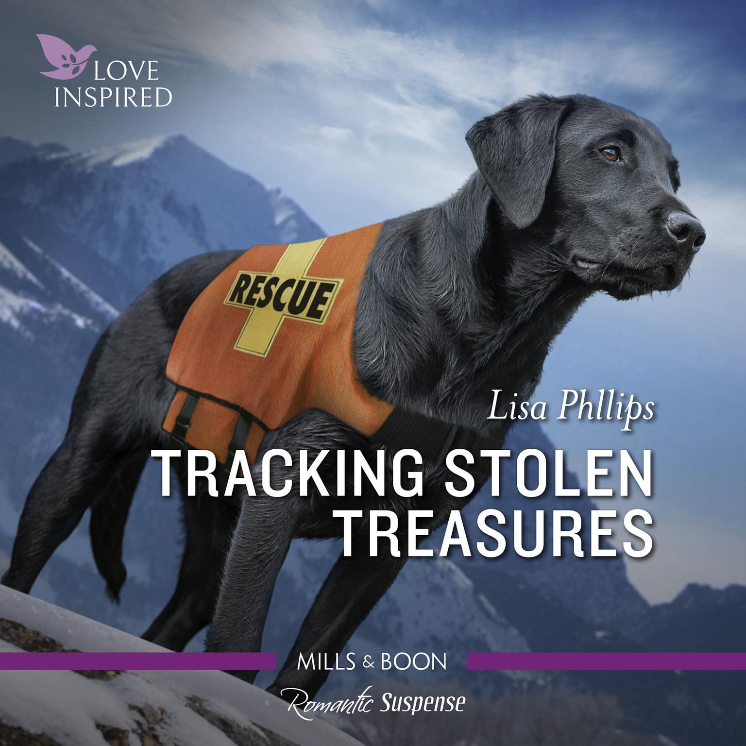 Tracking Stolen Treasures Audiobook, by Lisa Phillips