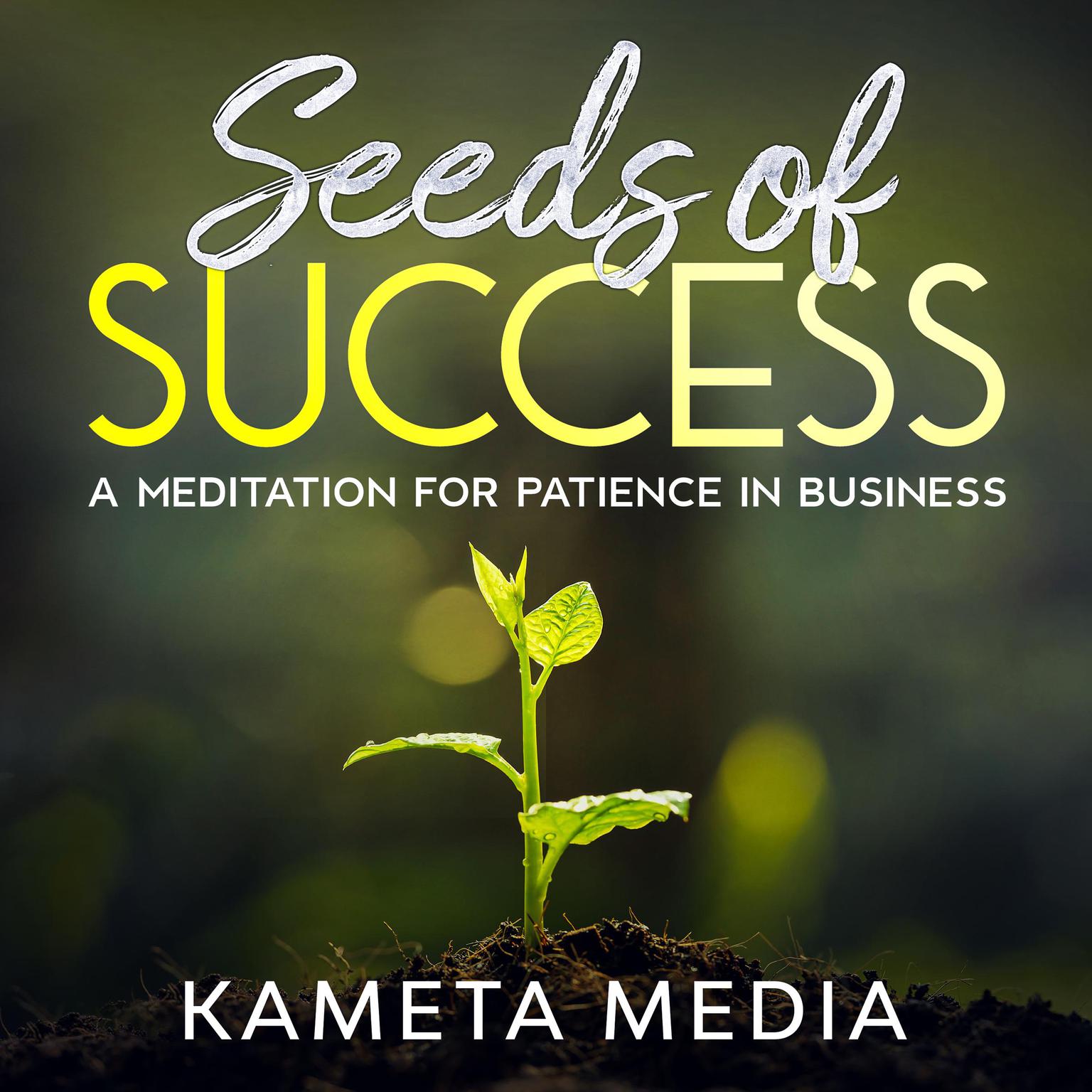 Seeds of Success: A Meditation for Patience in Business Audiobook, by Kameta Media
