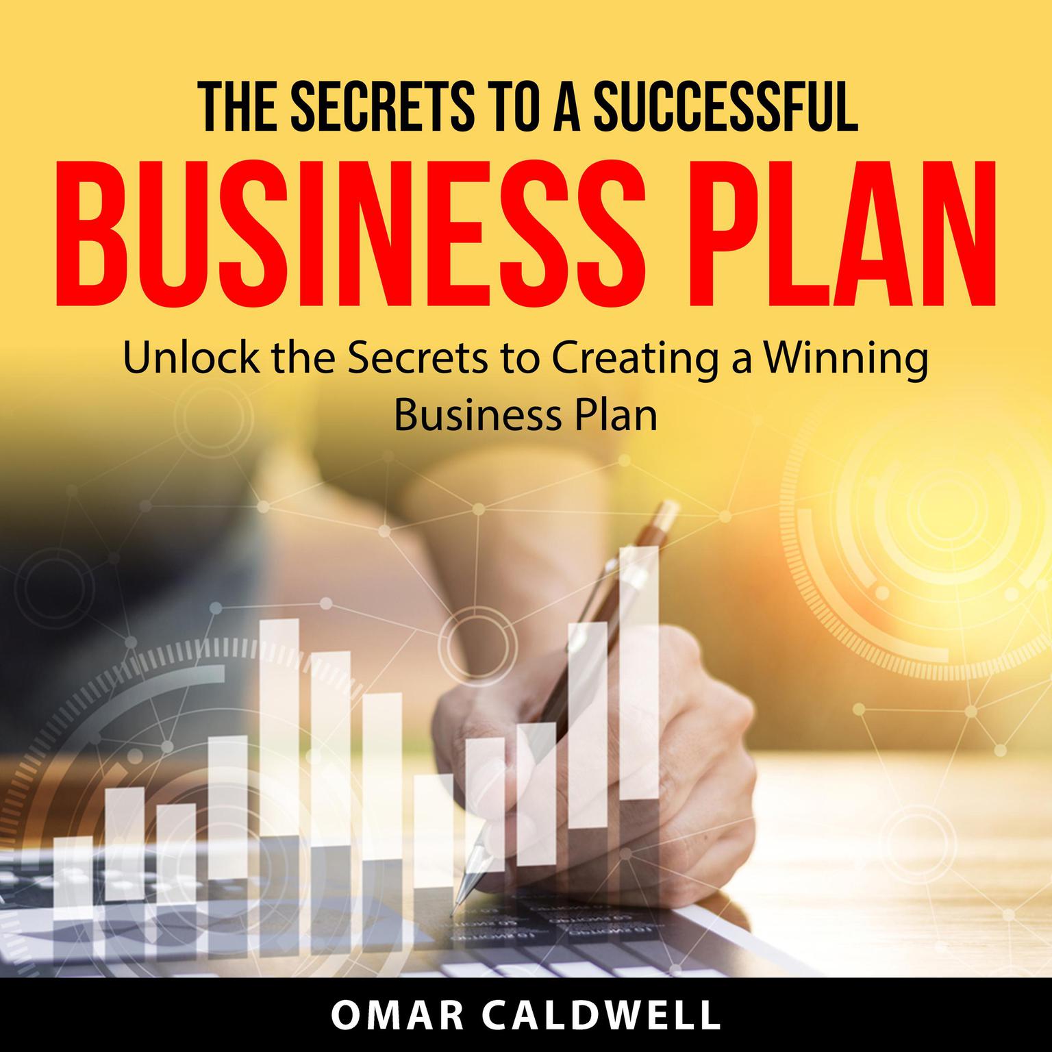 The Secrets to a Successful Business Plan Audiobook