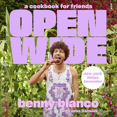 Open Wide: A Cookbook for Friends Audiobook, by Anon9780063315938 