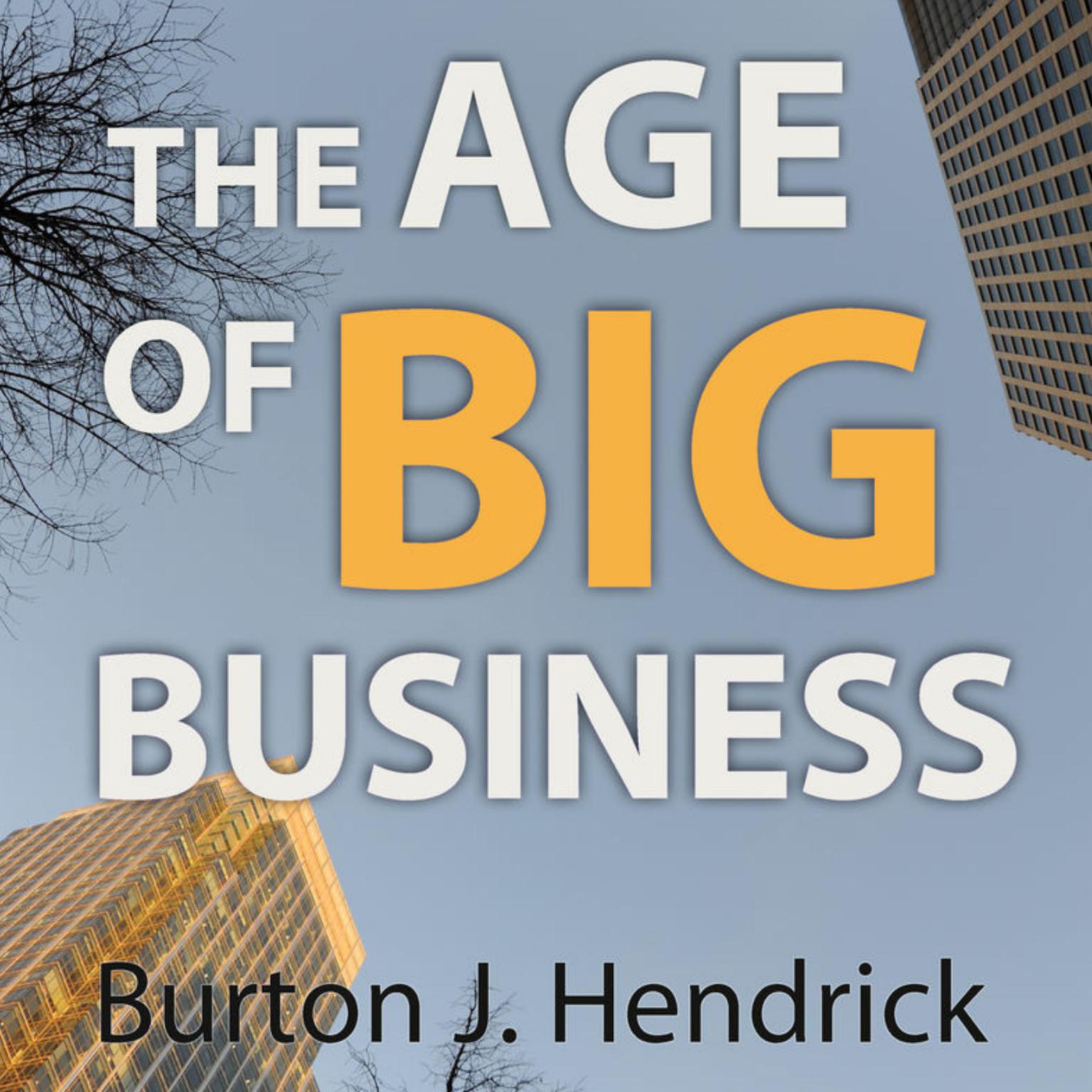 The Age of Big Business Audiobook, by Burton Jesse Hendrick