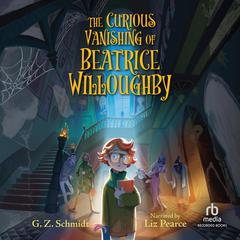 The Curious Vanishing of Beatrice Willoughby Audiobook, by G.Z. Schmidt