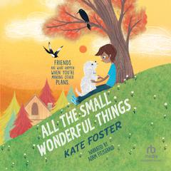 All the Small Wonderful Things Audiobook, by Kate Foster