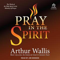 Pray in the Spirit: The Work of the Holy Spirit in the Ministry of Prayer Audiobook, by Arthur Wallis