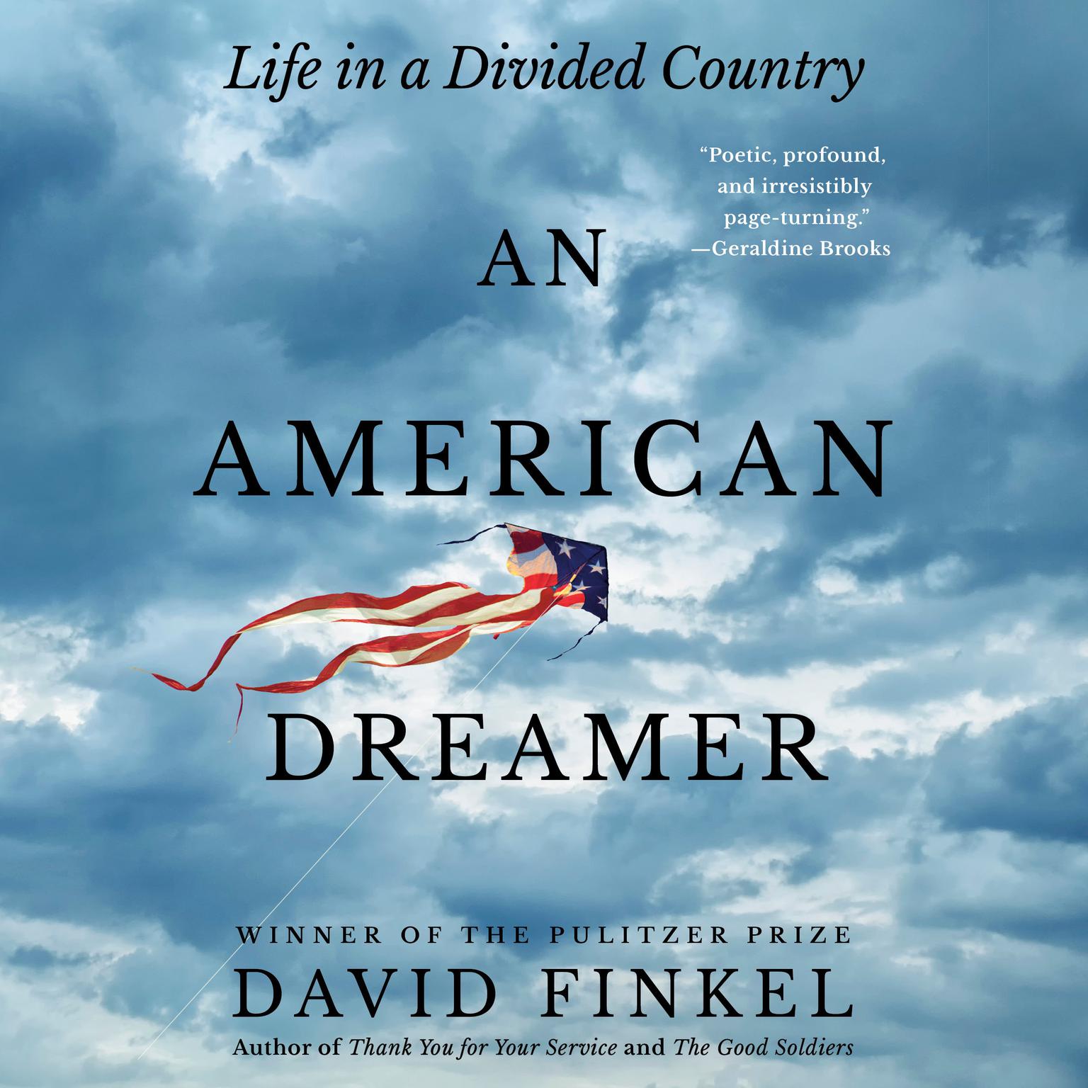 An American Dreamer: Life in a Divided Country Audiobook, by David Finkel