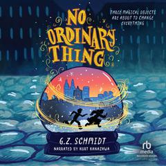 No Ordinary Thing Audiobook, by G.Z. Schmidt