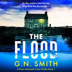 The Flood: A totally unputdownable crime novel Audiobook, by G.N. Smith
