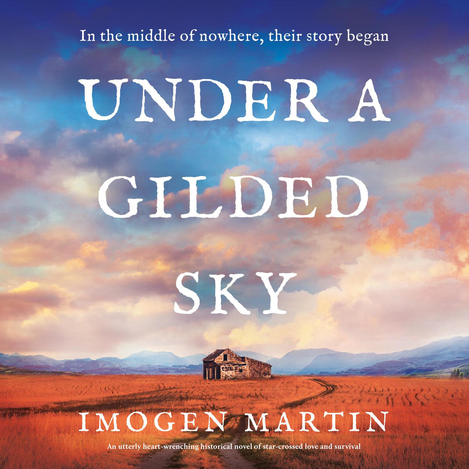 Under a Gilded Sky: An utterly heart-wrenching historical novel of star-crossed love and survival Audiobook, by Imogen Martin