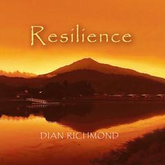 Resilience Audiobook, by Diana Richmond