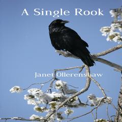 A Single Rook Audiobook, by Janet Ollerenshaw