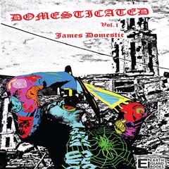 Domesticated Audiobook, by James Domestic