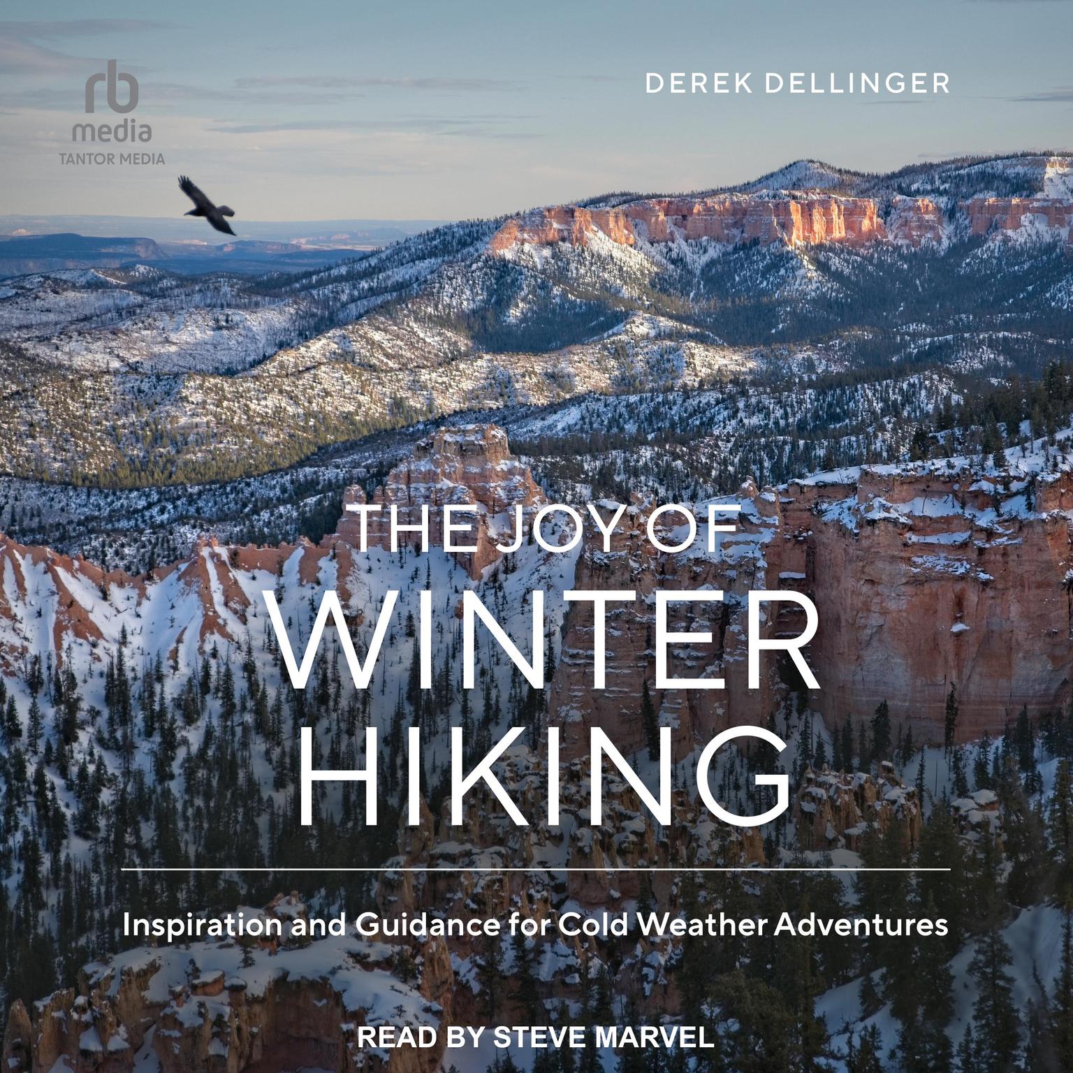 The Joy of Winter Hiking: Inspiration and Guidance for Cold Weather Adventures Audiobook, by Derek Dellinger