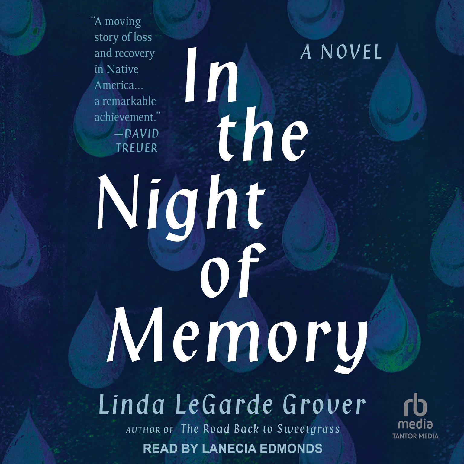 In the Night of Memory: A Novel Audiobook, by Linda LeGarde Grover