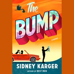 The Bump Audiobook, by Sidney Karger