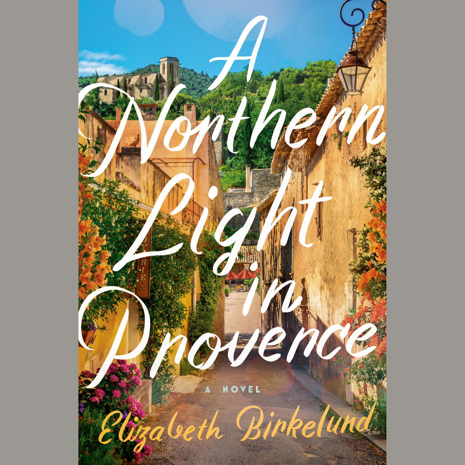 A Northern Light in Provence: A Novel Audiobook, by Elizabeth Birkelund