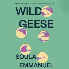 Wild Geese Audiobook, by Soula Emmanuel