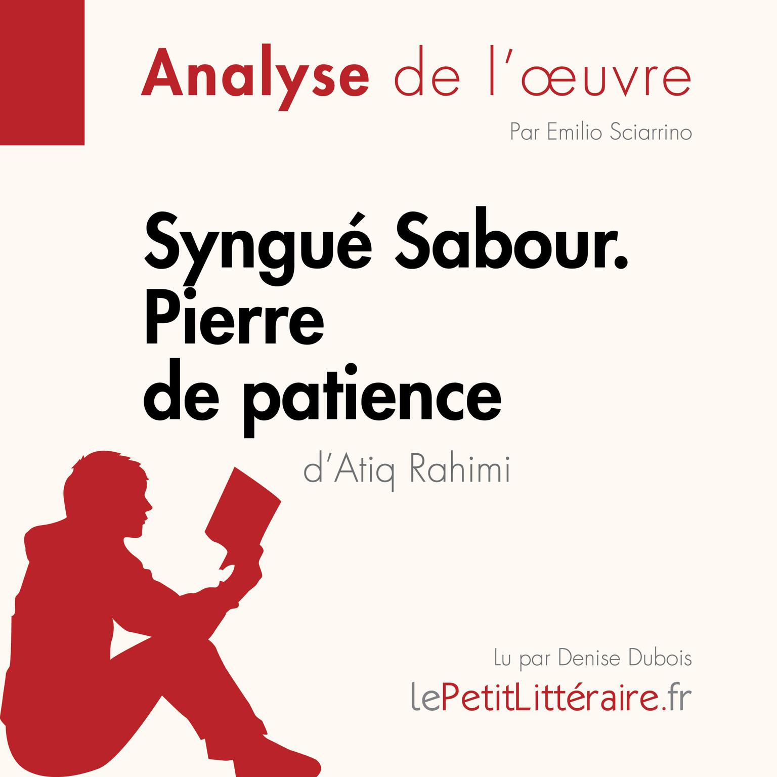 Syngué Sabour. Pierre de patience dAtiq Rahimi (Analyse de loeuvre): Analyse complète et résumé détaillé de loeuvre Audiobook, by LePetitLitteraire 