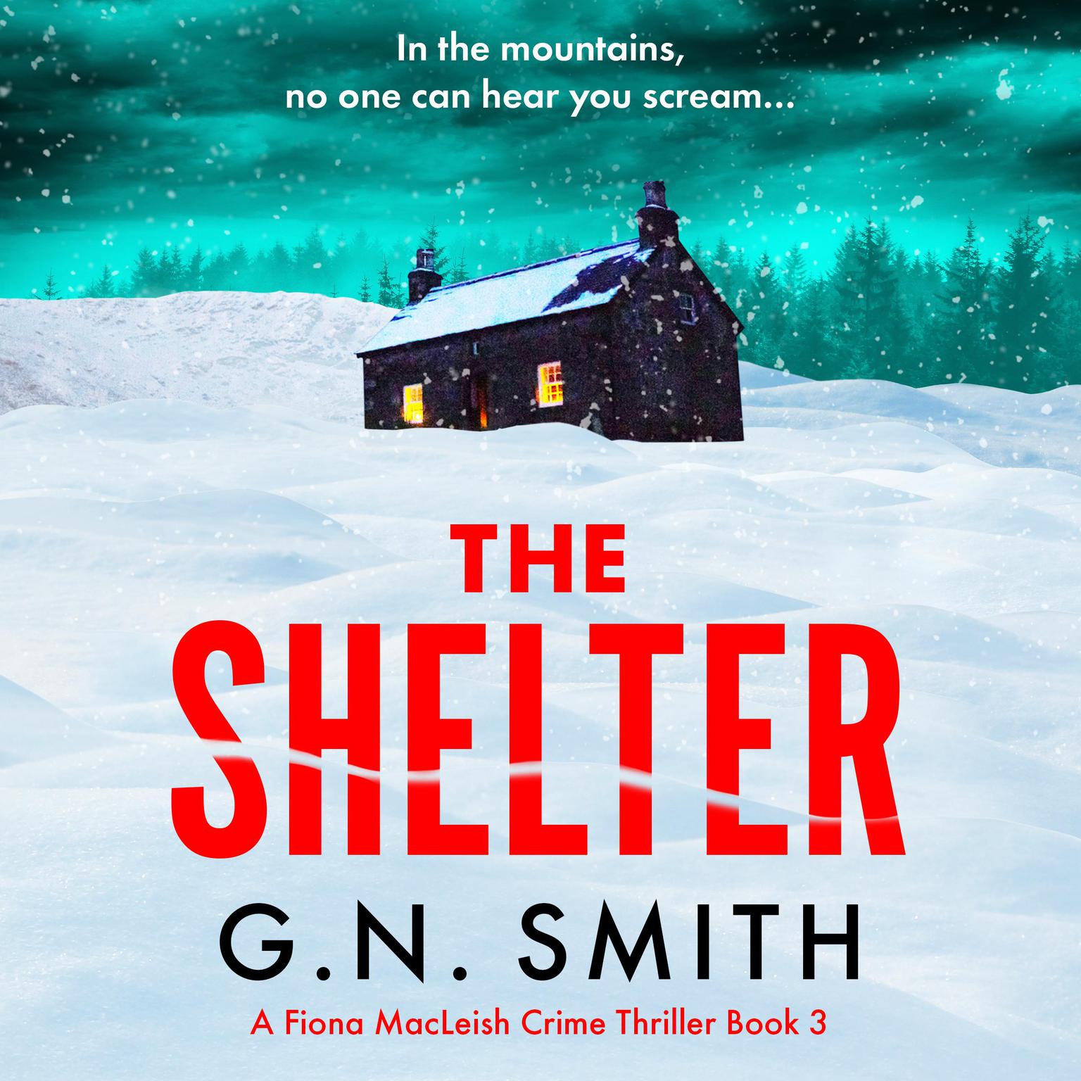 The Shelter: A completely heart-racing and unputdownable crime novel Audiobook, by G.N. Smith