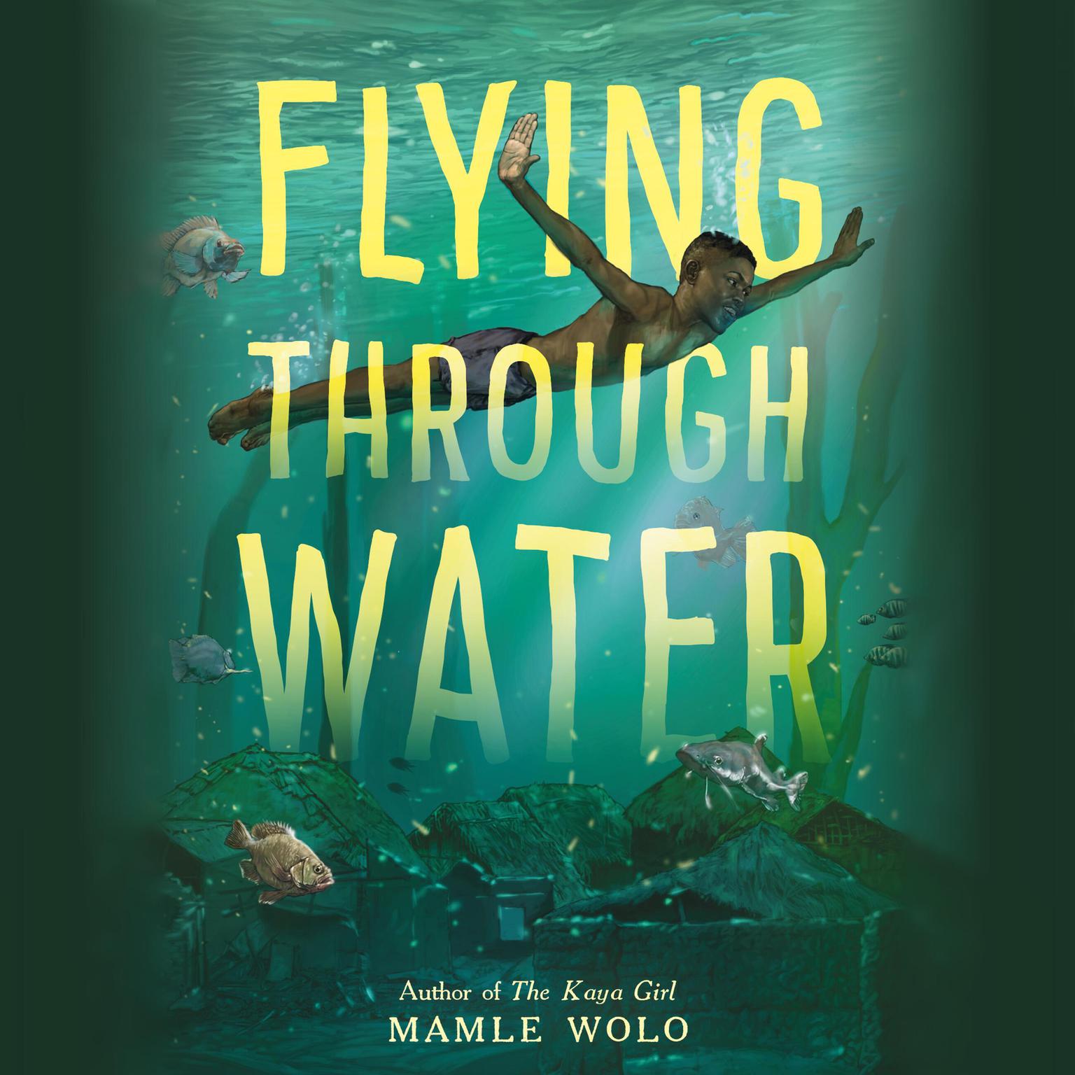 Flying Through Water Audiobook, by Mamle Wolo